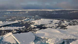 It's Not Just The Arctic Ice That's Thinning -- It's The Snow Too